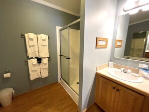 Bathroom - Moonlight View @ Spring Brook Resort (Wisconsin Dells)