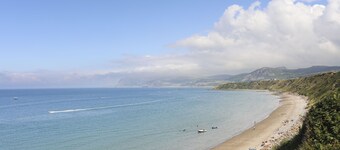Gorynys