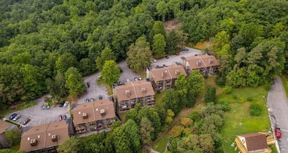 Bearadise Mountain Getaway