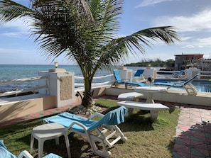Un espace aménagé au bord de la piscine, avec des chaises longues, un palmier et une vue sur la mer.