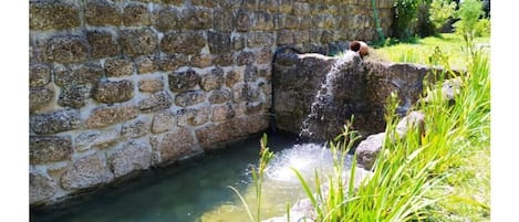 Terrein van de accommodatie