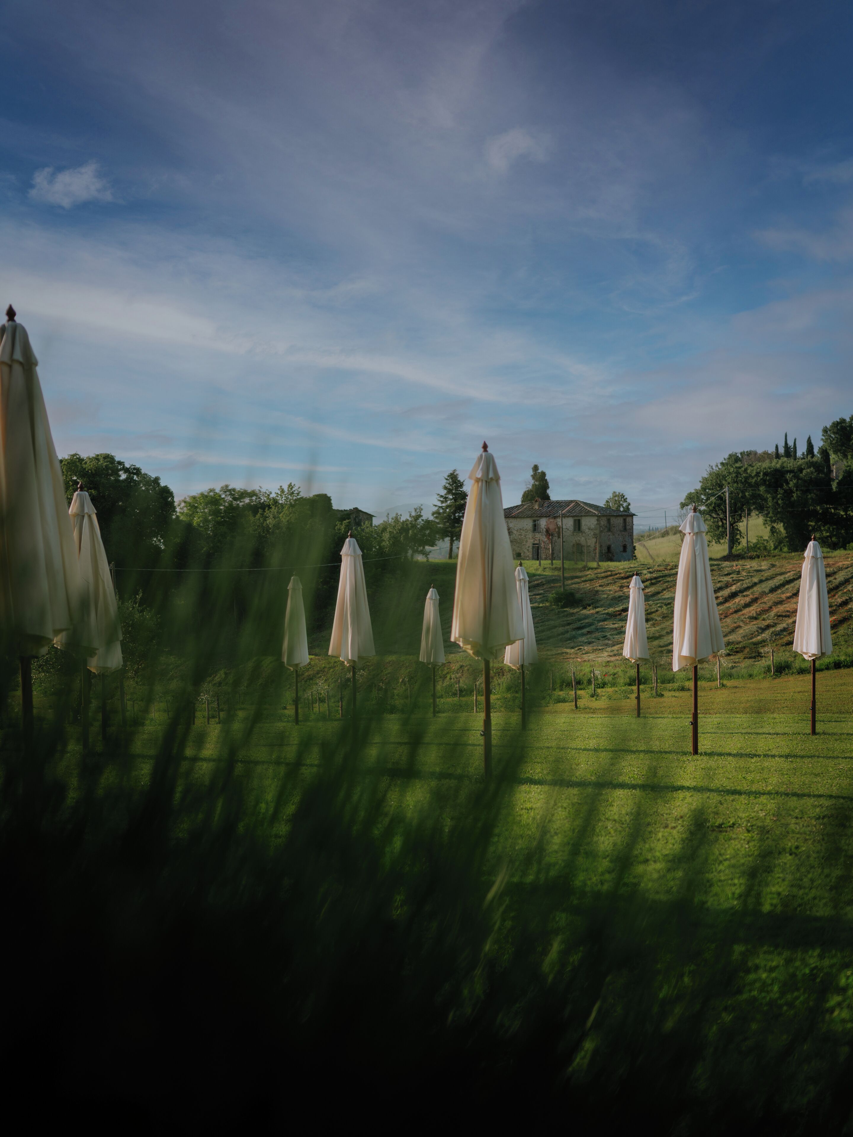 A grassy area with several white umbrellas and a stone building in the background.