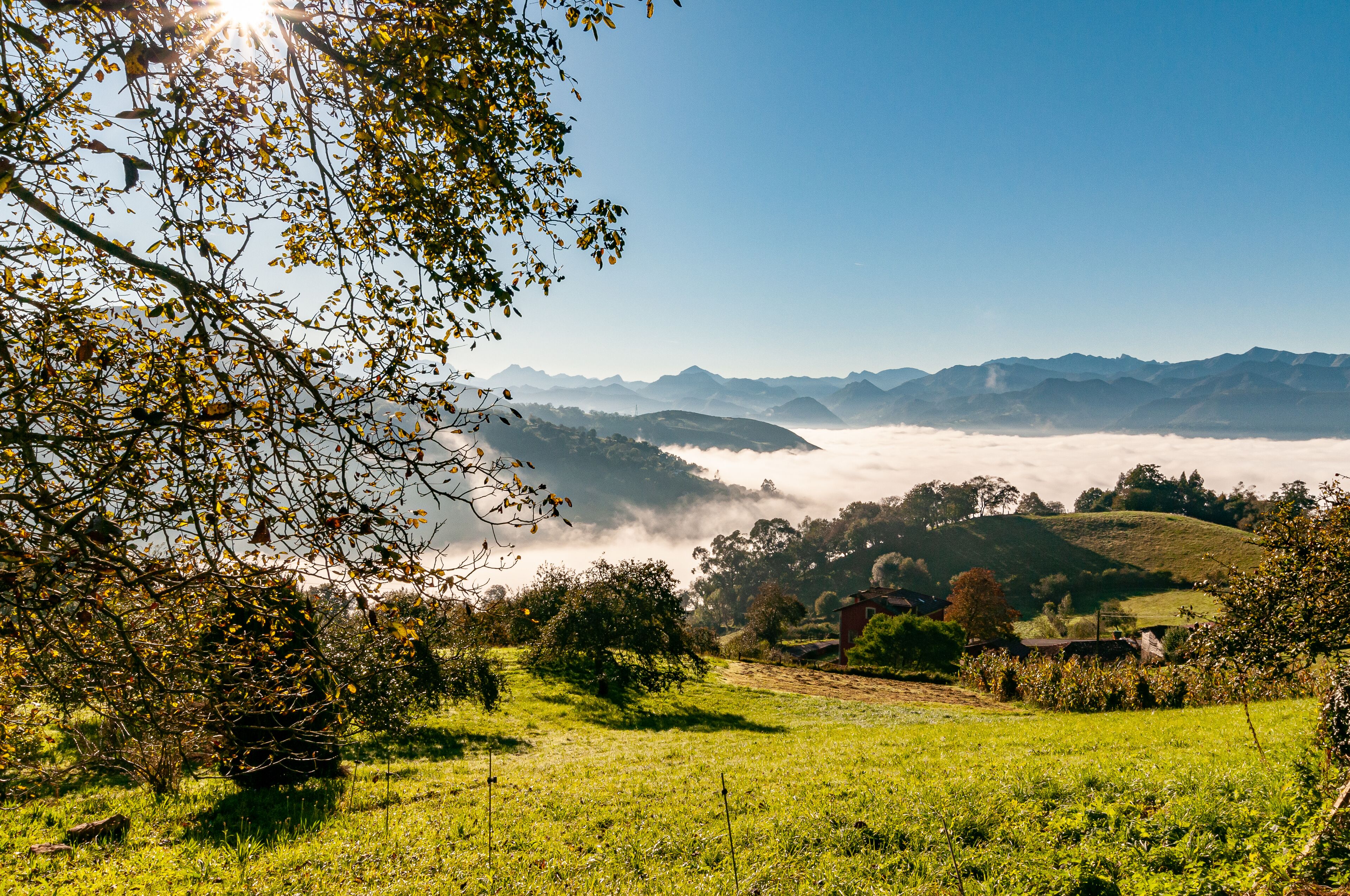 Foto - Casona de Indias