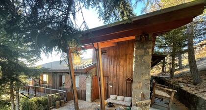 Magnificent family chalet in Valberg