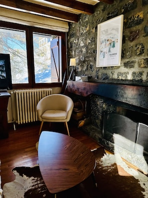 تلفزيون، مدفأة، مشغل دي في دي، مكتبة فيديو