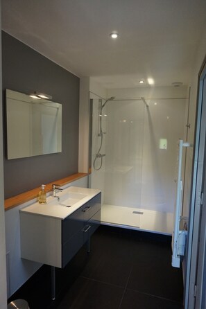 Shower, hair dryer, towels, soap - Authenticité, Calme et Espace à Proximité D'airbus et du Meett, 114 m2 , Jardin (Beauzelle)