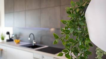 Deluxe Apartment 1 | Private kitchen | Dining tables