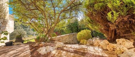 Àrea exterior de l'allotjament