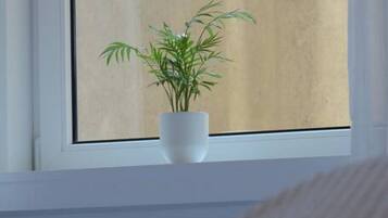 Desk, iron/ironing board, WiFi, bed sheets