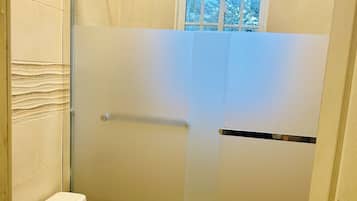 Shower, towels, toilet paper