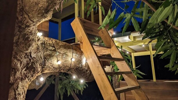 A wooden staircase built into a tree trunk with hanging lights, leading to a multi-level wooden structure.