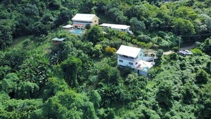 A hillside property with multiple buildings surrounded by dense forest.