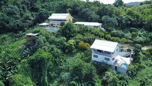 A large, multi-story house surrounded by dense tropical vegetation.