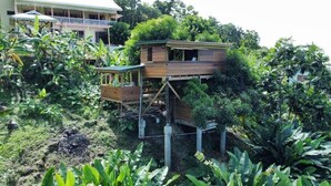 A wooden house elevated on stilts surrounded by dense vegetation.