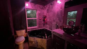 Douche, baignoire à jets, serviettes fournies, savon