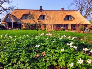 Exterior - Apartment under thatch "Reining" (Krems II)