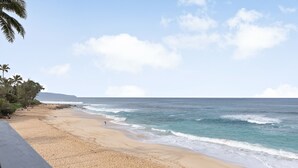 A beach with clear skies and calm waves. - Surfers Paradise: Ocean View, Walking Distance to Sunset Beach NUC:1990/NUC-2073 (Haleiwa)