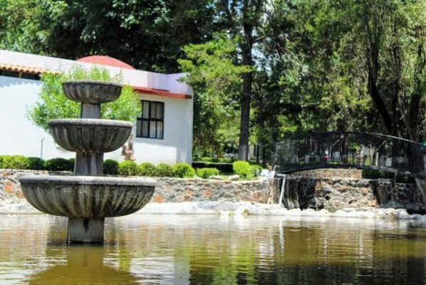 Área da propriedade