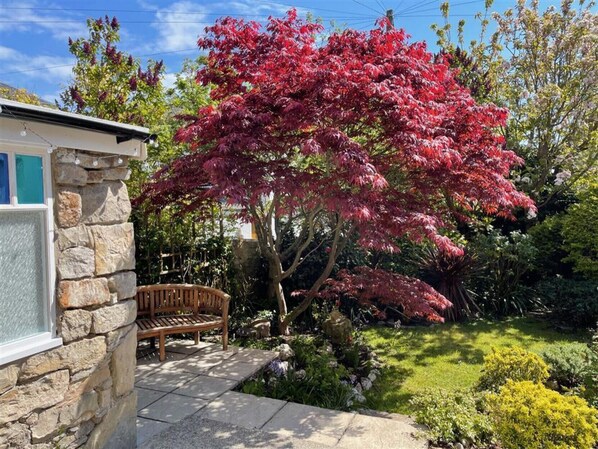 A stone house with a wooden bench and a tree with red leaves.