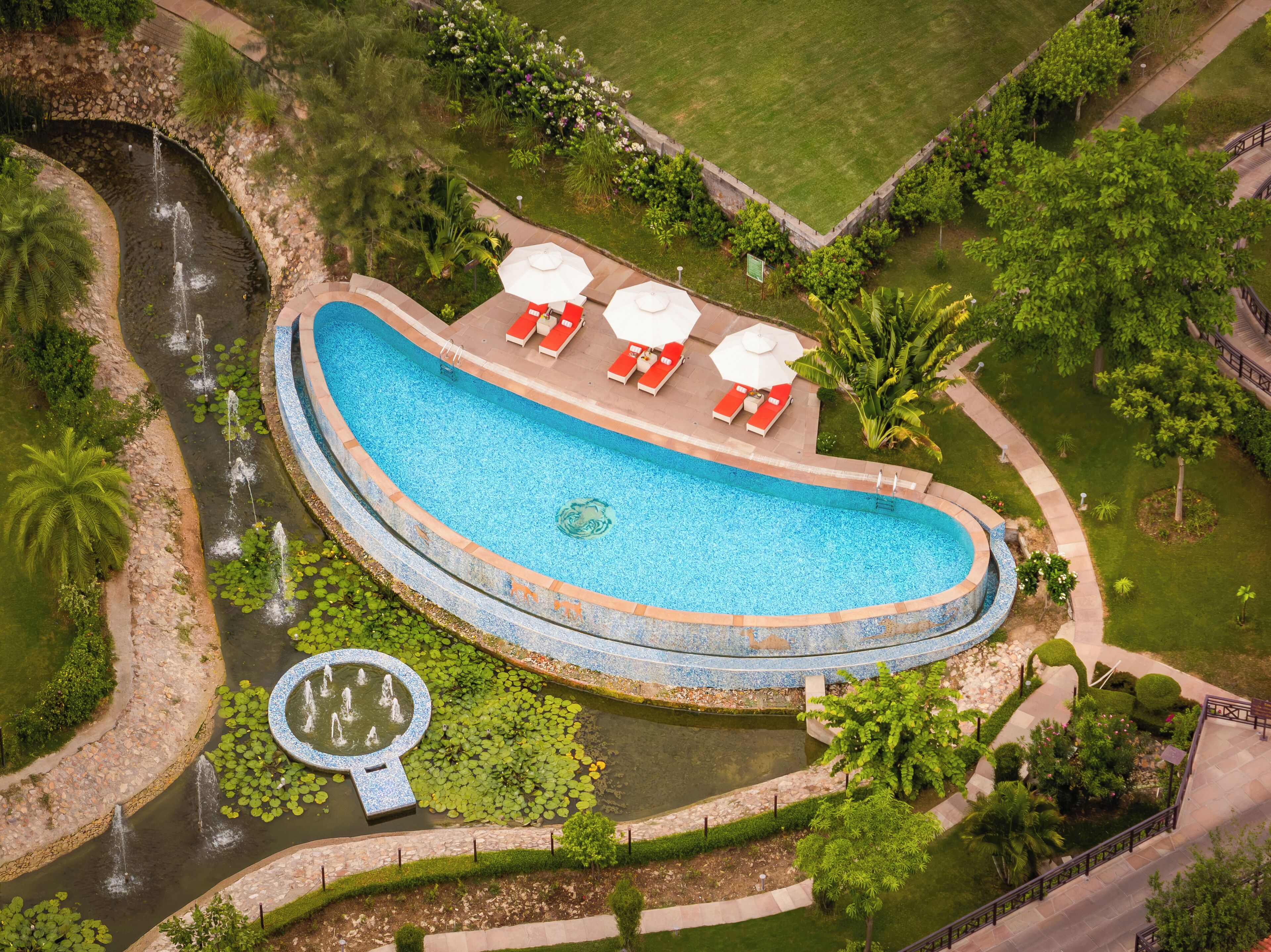 An aerial view of a swimming pool with a curved design, surrounded by a landscaped garden with palm trees and a small circular water feature.