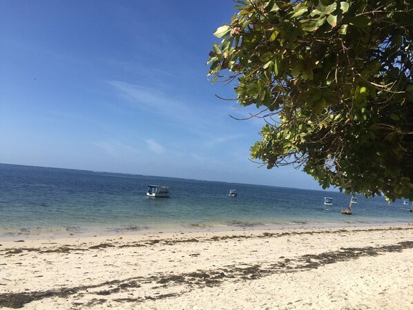 Apartment | Beach - 4 Bed Flat - Sleeps 8 - Pets - Pool - Parking (Mombasa)