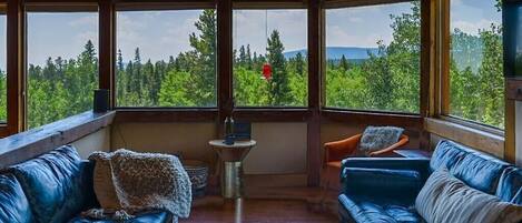 TV, fireplace, books, offices