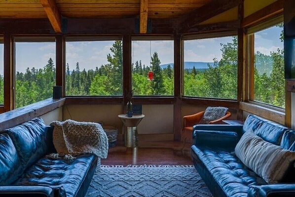 TV, fireplace, books, offices