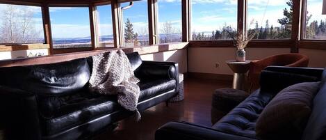 Televisión, chimenea, libros y oficina