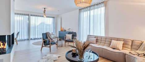 TV, fireplace, books, offices