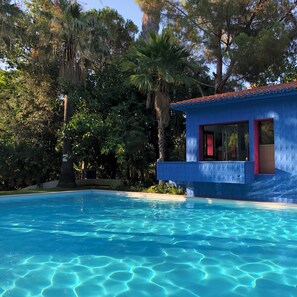 Relax by the serene pool surrounded by lush greenery.