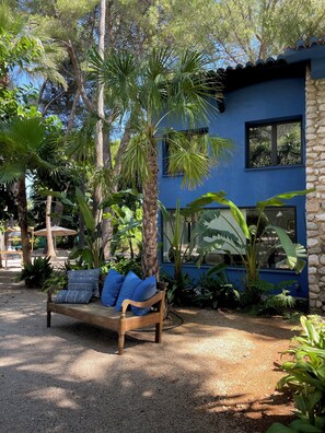 Property grounds - EL BOTANICO DE SAGRA - CASA AZUL PLANTA BAJA (Sagra)