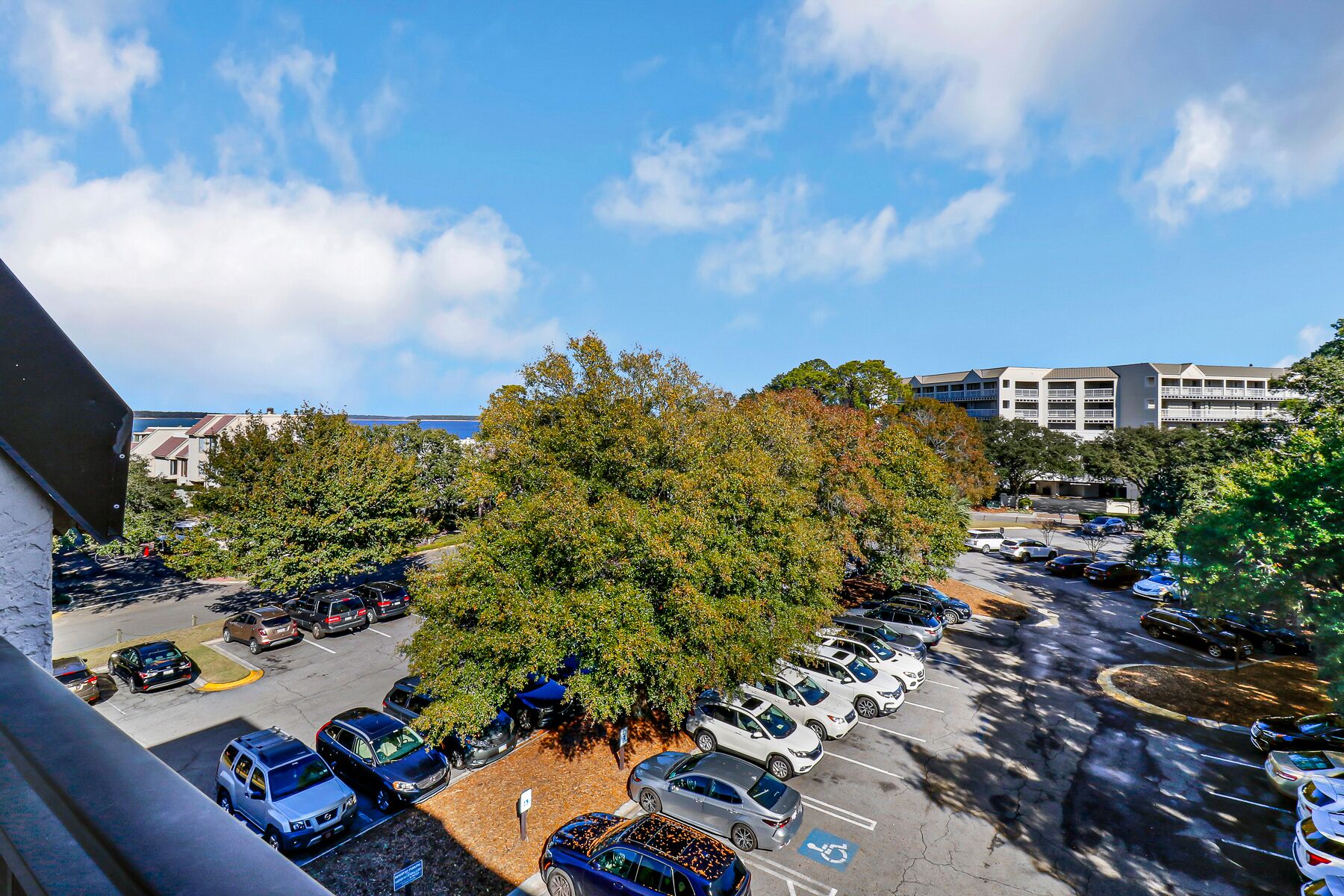 A parking lot with multiple cars, a large tree, and buildings in the background.