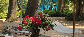 EL BOTANICO DE SAGRA - CASA TURQUESA