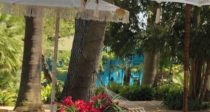 EL BOTANICO DE SAGRA - CASA TURQUESA