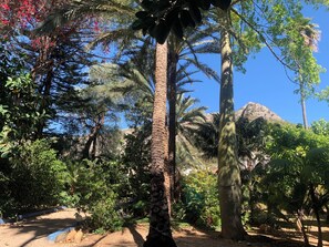 Jardines del alojamiento