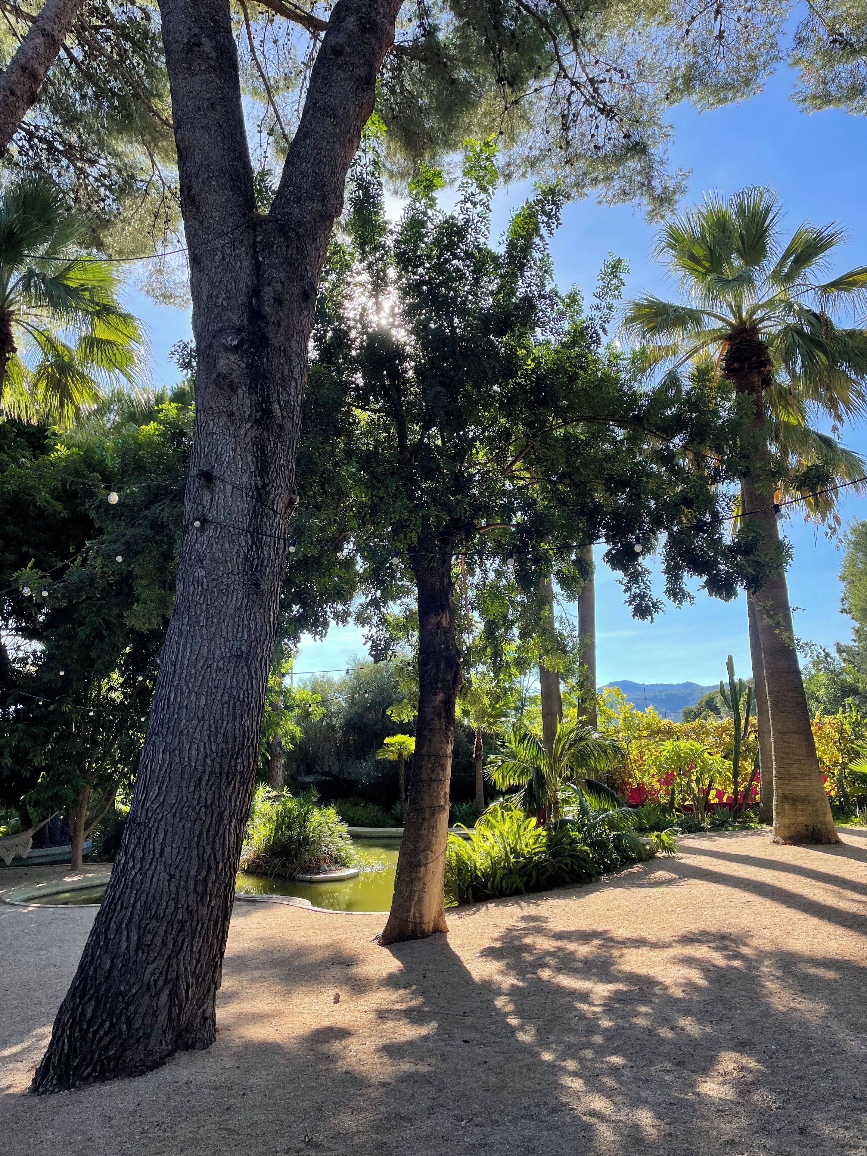 Jardines del alojamiento