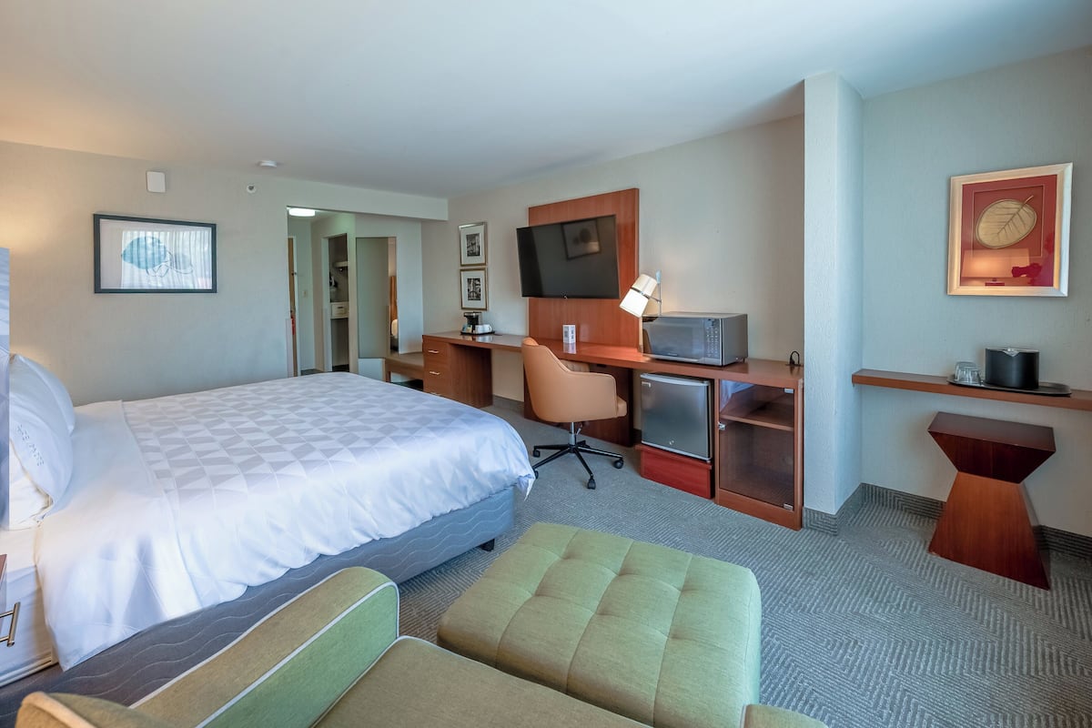 Standard Room, 1 King Bed, City View