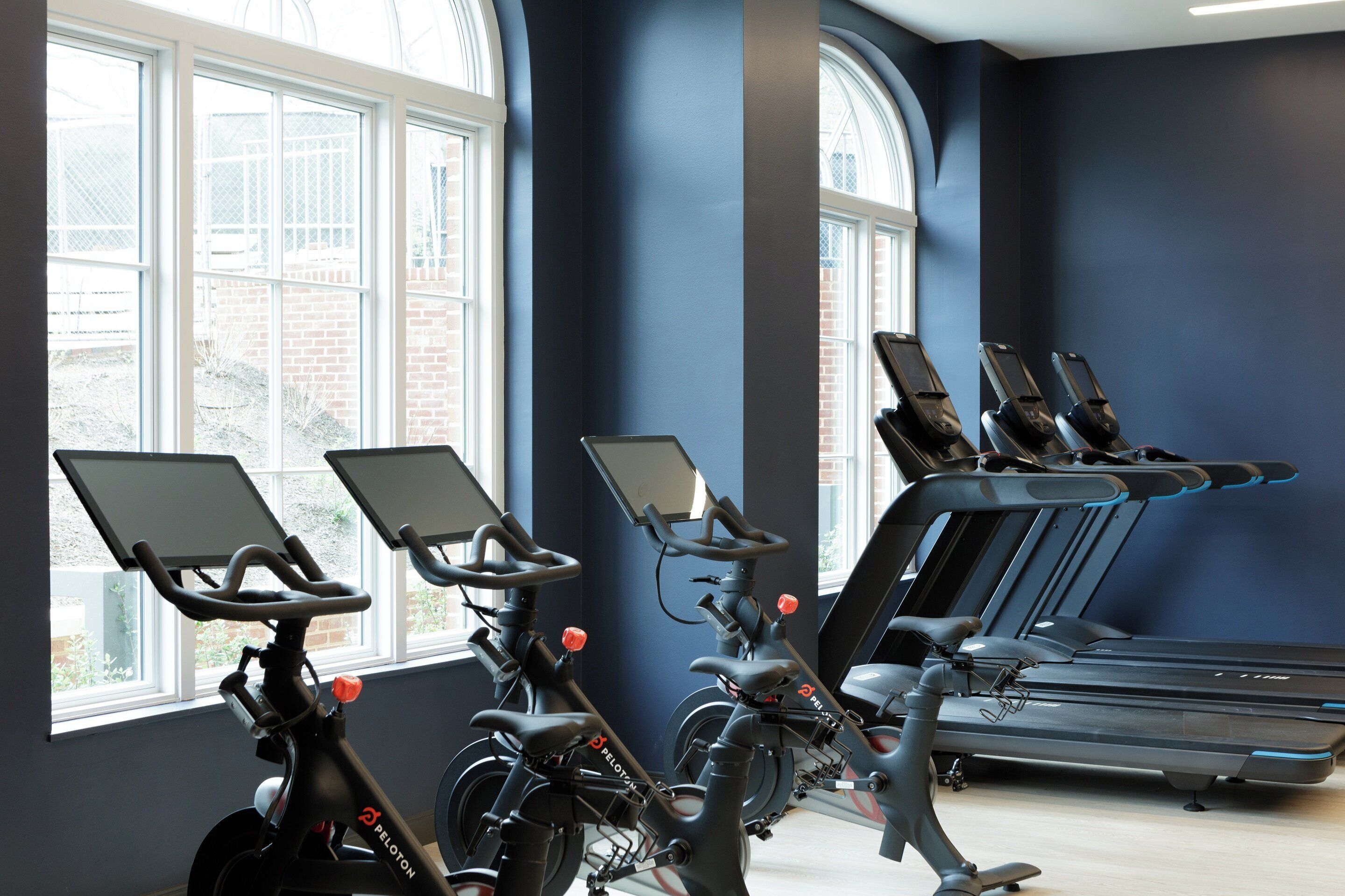 A gym with stationary bikes, treadmills, and large windows.