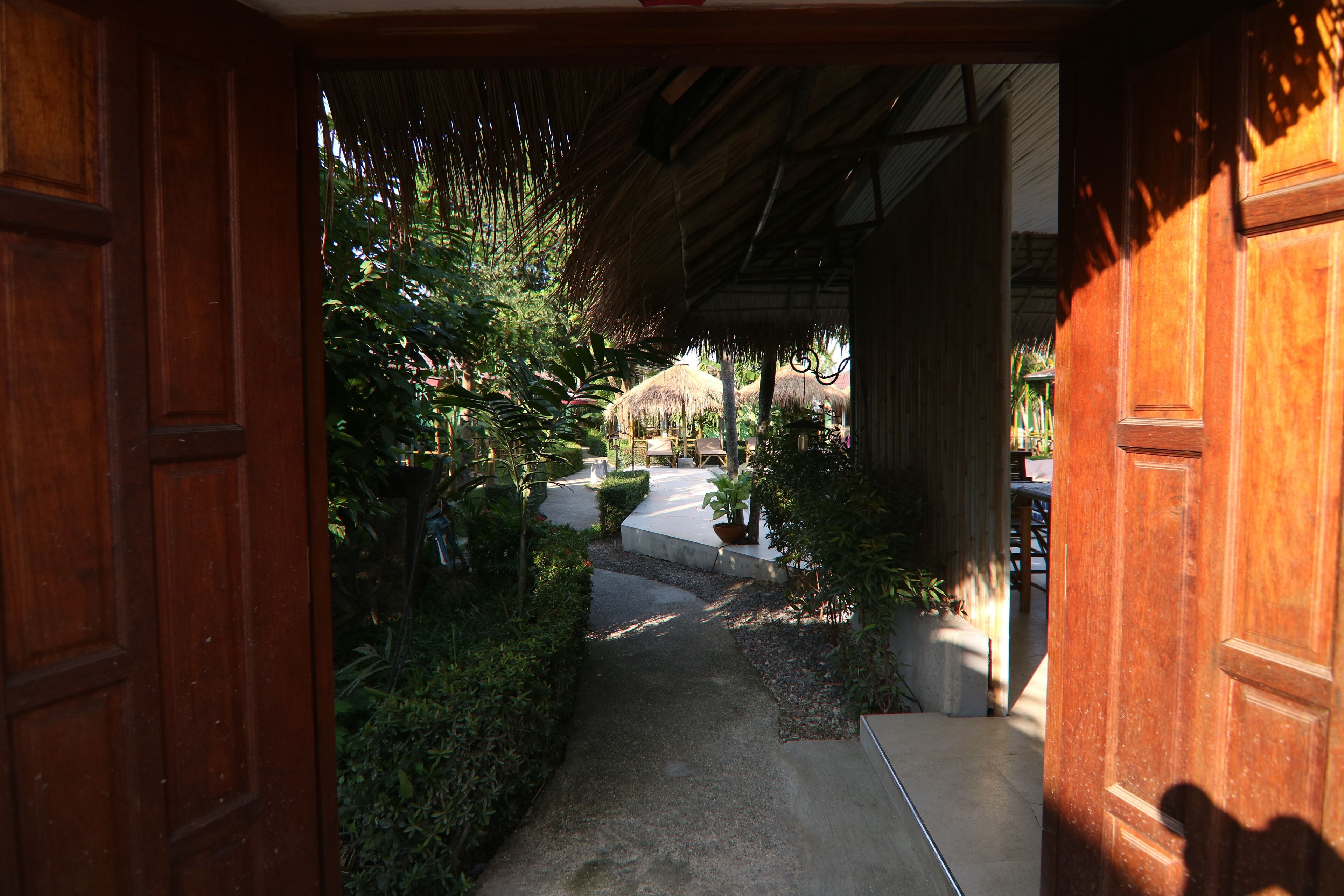 Foto - Avocado Koh Samui