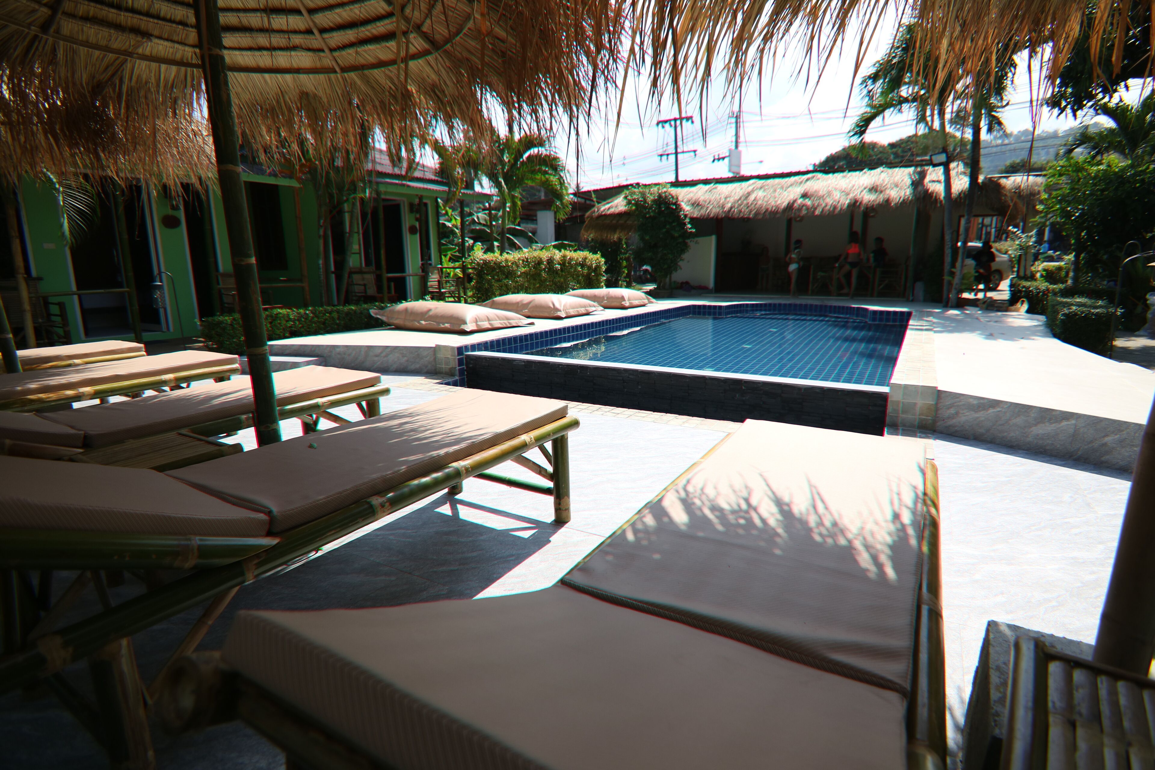 Foto - Avocado Koh Samui