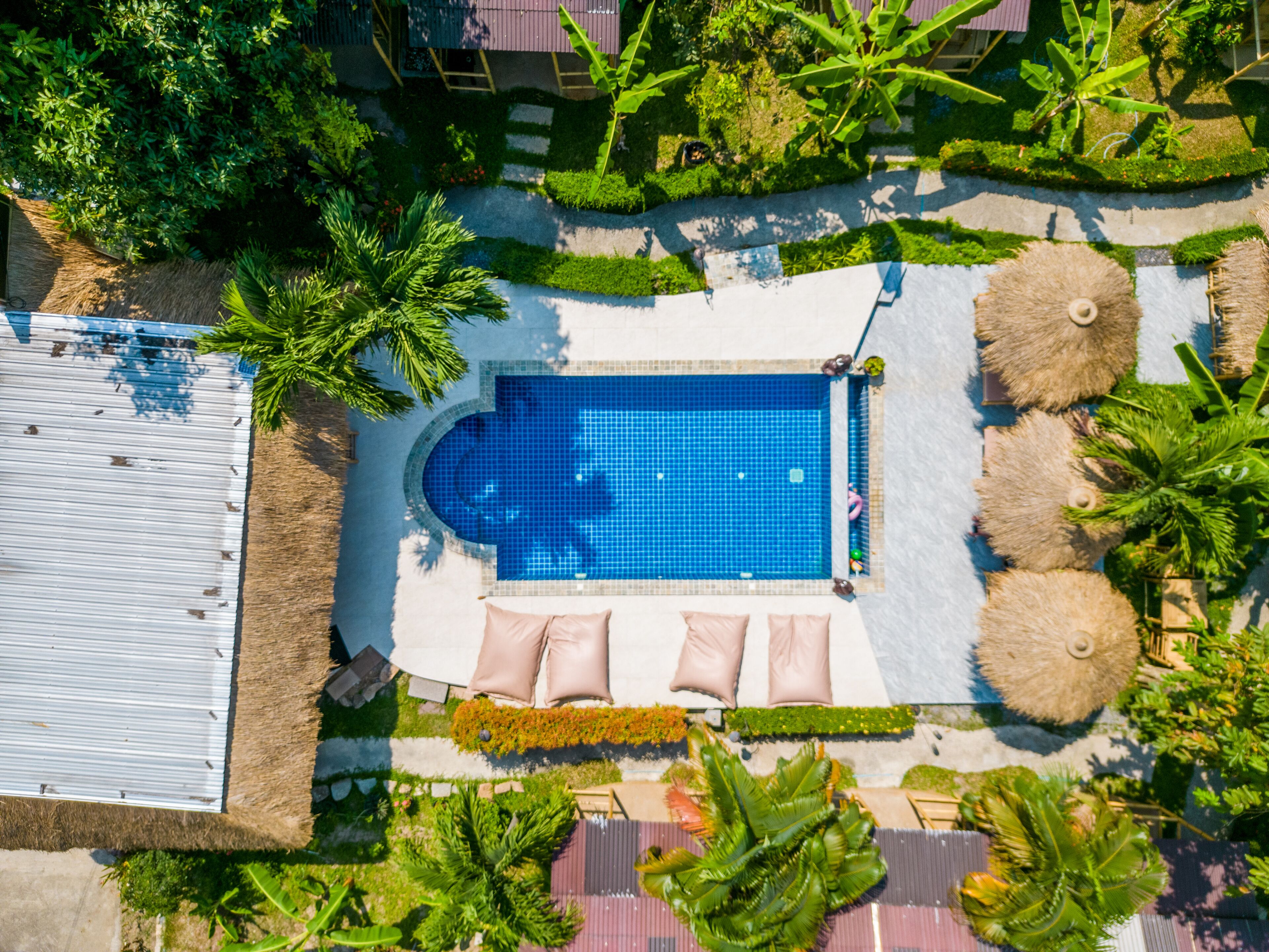 Foto - Avocado Koh Samui