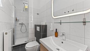 Ducha, secador de pelo, toallas, papel higiénico