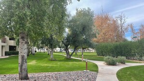 A landscaped area with a pathway, trees, and a building in the background. - AZ Peaceful Retreat in Scottsdale (Scottsdale)