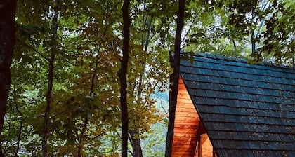 Magical TreeHouse I Hot Tub, Fireplace, Pets OK