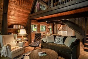 Smart TV, fireplace, books, music library