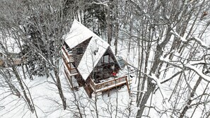 Exterior - Magical TreeHouse I Hot Tub, Fireplace, Pets OK (Huntsville)