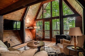 Smart TV, caminetto, libri, biblioteca musicale