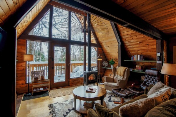 Smart TV, fireplace, books, music library