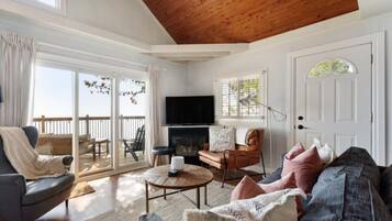 Smart TV, fireplace, books, music library