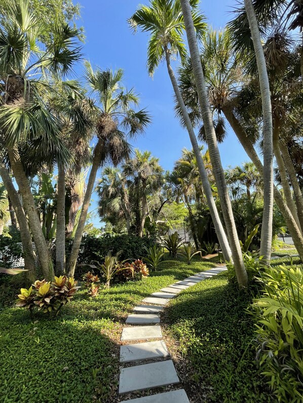 A pathway lined with palm trees and lush greenery, leading through a tropical garden.
